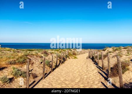 Lege-Cap-Ferret (Francia sud-occidentale): Percorso nella sabbia, nelle dune che conducono ad una spiaggia lungo l'Oceano Atlantico Foto Stock