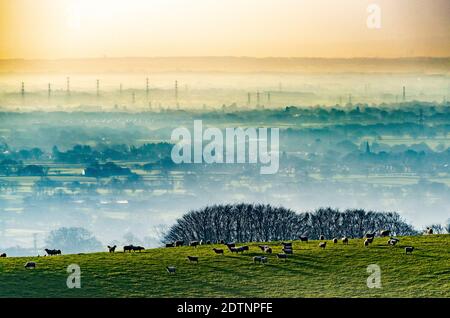 Preston, Lancashire, Regno Unito. 22 dicembre 2020. Una mattina misteriosa, Preston, Lancashire. Credit: John Eveson/Alamy Live News Foto Stock