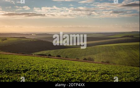 Vista sulle South Downs verso Newhaven, East Sussex, Regno Unito Foto Stock