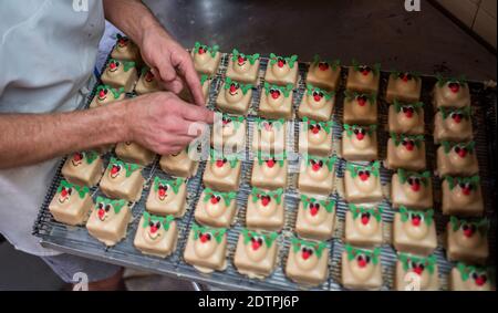 22 Dicembre 2020 Alex Dalbetty & Sons - Artisan Bakers Scottish Borders, Scozia, UK. Notizie di Natale - saggio fotografico Alex Dalbetty & Sons - Artisan Bakers con sede a Galashiels sono molto impegnati nella corsa Uptown Natale e le festività. Le foto mostrano i panettieri finitura di un grande vassoio di festa Rudolph il rosso renna ghiacciato Natale fiaba torte. Photo Phil Wilkinson / Alamy Live News Foto Stock