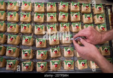 22 Dicembre 2020 Alex Dalbetty & Sons - Artisan Bakers Scottish Borders, Scozia, UK. Notizie di Natale - saggio fotografico Alex Dalbetty & Sons - Artisan Bakers con sede a Galashiels sono molto impegnati nella corsa Uptown Natale e le festività. Le foto mostrano i panettieri finitura di un grande vassoio di festa Rudolph il rosso renna ghiacciato Natale fiaba torte. Photo Phil Wilkinson / Alamy Live News Foto Stock