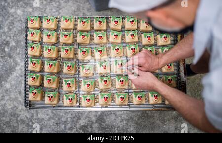 22 Dicembre 2020 Alex Dalbetty & Sons - Artisan Bakers Scottish Borders, Scozia, UK. Notizie di Natale - saggio fotografico Alex Dalbetty & Sons - Artisan Bakers con sede a Galashiels sono molto impegnati nella corsa Uptown Natale e le festività. Le foto mostrano i panettieri finitura di un grande vassoio di festa Rudolph il rosso renna ghiacciato Natale fiaba torte. Photo Phil Wilkinson / Alamy Live News Foto Stock