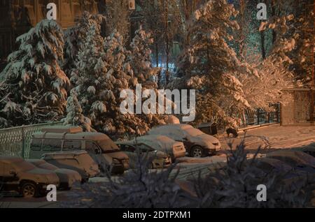 Il paesaggio invernale notturno, gli alberi di Natale e le auto nel parcheggio sono coperti di neve e illuminati da una lanterna Foto Stock