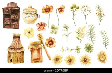 Vintage tinta acquerello rustico clipart. Stile di vita. Fiori botanici Foto Stock