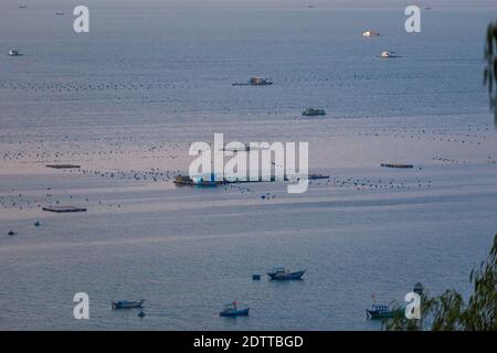 Bella foto ofoyster fattoria e le barche durante il tramonto - vista dal promontorio Cam Lap - isola in Cam Ranh, Vietnam. Khanh Hoa provincia, Cam Ranh Bay Foto Stock