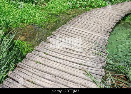 Un percorso fatto di tavole di legno tra il lago e. foresta Foto Stock