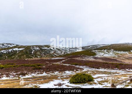 Immagine orizzontale delle montagne innevate in una giornata invernale, sovrastato da erba e macchia di alta montagna Foto Stock