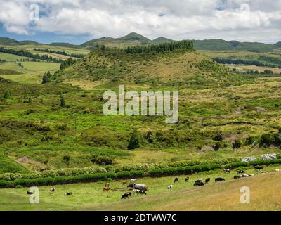 Paesaggio all'interno dell'isola vicino Gruta do Natal. Isola Ilhas Terceira, parte delle Azzorre (Ilhas dos Acores) nell'oceano atlantico, un a. Foto Stock