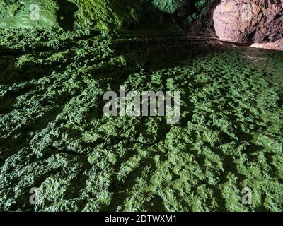 Gruta do Natal, o Grotta di Natale, un tubo di lava. Isola Ilhas Terceira, parte delle Azzorre (Ilhas dos Acores) nell'oceano atlantico, una re autonoma Foto Stock