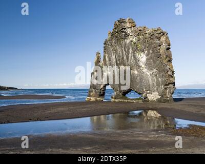 Sea stack Hvitserkur, un punto di riferimento della penisola. Paesaggio sulla penisola Vatnsnes nel nord Islanda. Europa, Nord Europa, Islanda Foto Stock