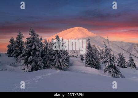 Fantastic winter landscape in snowy mountains glowing by morning sunlight. Dramatic wintry scene with frozen snowy trees at sunrise. Christmas holiday background Foto Stock