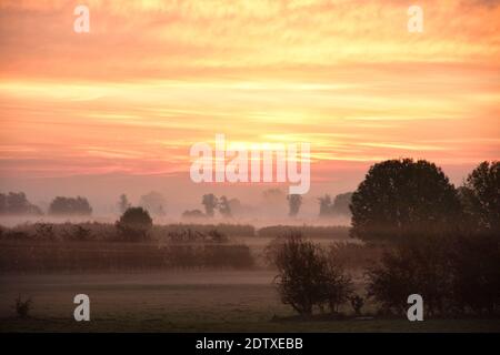 umore del mattino poco prima dell'alba. Nebbia e rugiada mattutina sui campi dei Paesi Bassi. Bell'atmosfera di colore. Paesaggio in autunno Foto Stock