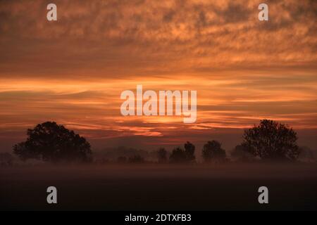 umore del mattino poco prima dell'alba. Nebbia e rugiada mattutina sui campi dei Paesi Bassi. Bell'atmosfera di colore. Paesaggio in autunno Foto Stock