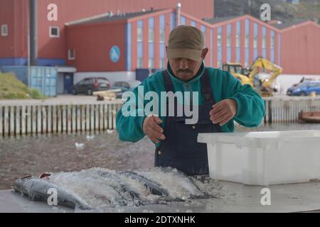 Qaqortoq, Groenlandia - 28 agosto 2017: Uomo inuit eskimo preparazione di pesce fresco su un mercato in Qaqortoq Groenlandia. Foto Stock