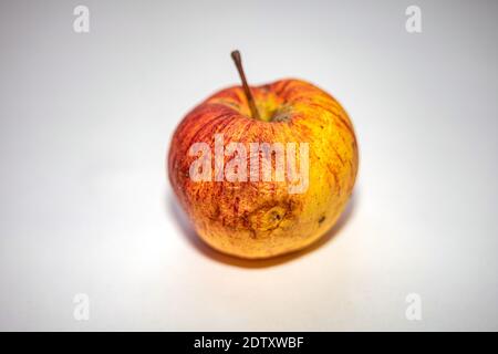 Mela naturale con difetti e placca fungina. Un vecchio autunno shrivelled Apple. Messa a fuoco morbida selettiva Foto Stock