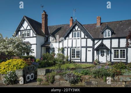Tudor Cottage in primavera, Church Bank, Tattenhall, Cheshire, Inghilterra, Regno Unito Foto Stock