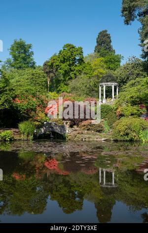 Il Giardino del Tempio in primavera, Cholmondeley Castle, Cholmondeley, Cheshire, Inghilterra, Regno Unito Foto Stock