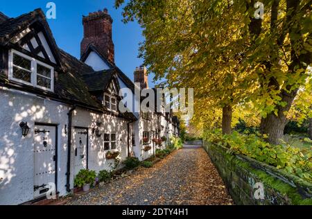 White Cottages in autunno, School Lane, Great Budworth, Cheshire, Inghilterra, UK
