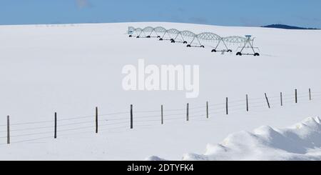 Un campo agricolo innevato in inverno vicino Philipsburg, MT su Skalkaho Pass Road Foto Stock