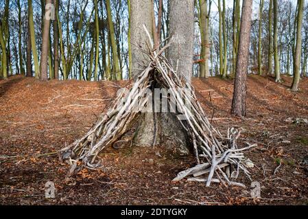 Una capanna fatta di pali nella foresta. Foto Stock