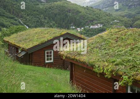 Tipica casa in legno con tetto di prateria nei fiordi di Geiranger in Norvegia. Foto Stock