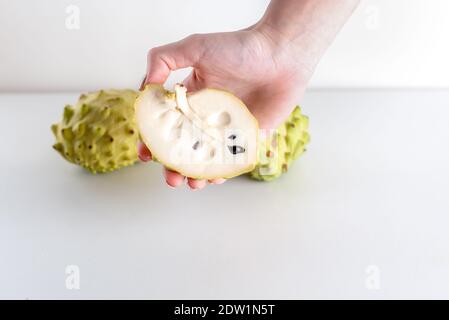 Annona, anone, Cherimoya, Zucchero Apple. Donna Mani Annona frutto su sfondo bianco. Foto Stock