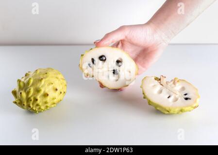 Annona, anone, Cherimoya, Zucchero Apple. Donna Mani Annona frutto su sfondo bianco. Foto Stock