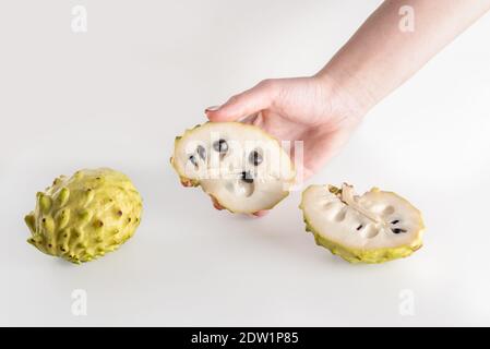 Annona, anone, Cherimoya, Zucchero Apple. Donna Mani Annona frutto su sfondo bianco. Foto Stock