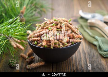 Ciotola di boccioli di pino. Boccioli di pino e ramoscelli con ago sul tavolo. Foto Stock