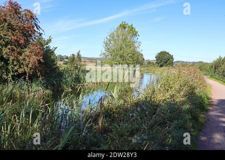 Una scena idilliaca sul Canal Grand Western a Sampford Peverell a Devon, Inghilterra Foto Stock