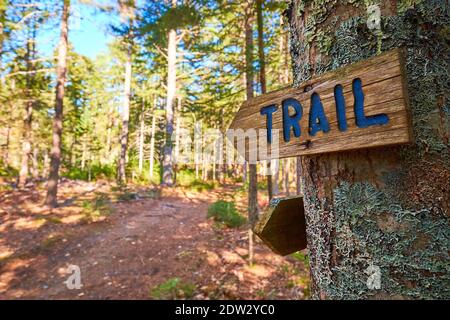 Un cartello con le frecce in legno intagliato a mano per il Peter's Brook Trail, parte del Blue Hill Heritage Trust Conservation Land. A East Blue Hill, Maine. Foto Stock