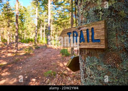 Un cartello con freccia in legno intagliato a mano per il Peter's Brook Trail, parte della riserva naturale Blue Hill Heritage Trust. A East Blue Hill, Maine. Foto Stock