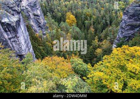vista dal famoso ponte di bastei alla foresta e rocce di arenaria nel nationalpark sächsische schweiz, svizzera sassone, germania orientale elbsandsteingebirge Foto Stock