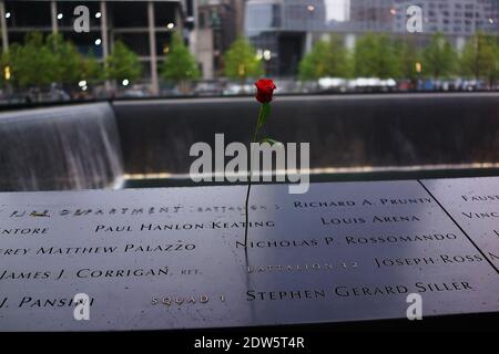 NEW YORK, NY - MAGGIO 15: Una rosa è posta su un nome inciso lungo la piscina Sud riflettente presso il sito commemorativo di Ground Zero durante la cerimonia di dedicazione del National September 11 Memorial Museum a New York 15 maggio 2014. Il museo si estende su sette piani, per lo più sotterranei, e contiene manufatti provenienti dall'attacco alle torri del World Trade Center il 11 settembre 2001 che includono i tridents alti 80 piedi, la cosiddetta 'Ground Zero Cross? I resti distrutti del motore del Dipartimento dei vigili del fuoco di New York della Società 21, così come gli elementi più piccoli come la lettera che cadde da un aereo dirottato e poster o Foto Stock