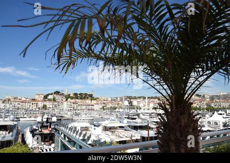 Una vista del porto, dal tetto del Palais des Festivals durante il Settimo Festival del Cinema di Cannes, 16 maggio 2014. Foto di Lionel Hahn/ABACAPRESS.COM Foto Stock