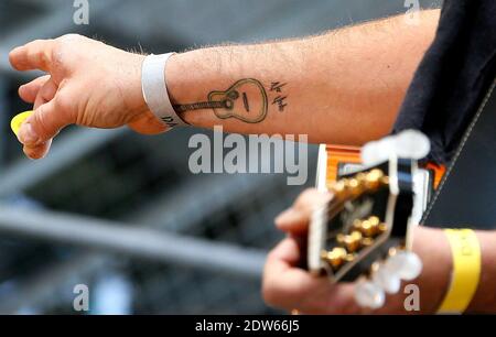 Noir Desir ex-frontman Bertrand Cantat suona con la sua band Detroit in un concerto Eurock Ecologie a sostegno del partito ecologista Europa Ecologie-Les Verts a Bordeaux, Francia occidentale, il 17 maggio 2014. Foto di Patrick Bernard/ABACAPRESS.COM Foto Stock