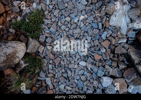 Guardando giù a Ghavel Trail sulla strada per Rock Ghiacciaio nel Great Basin National Park Foto Stock