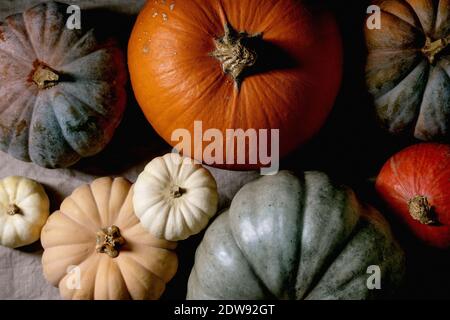 Collezione di zucche colorate di diverse dimensioni e cultivar su tovaglia di lino. Disposizione piatta. Vendemmia autunnale. Foto Stock