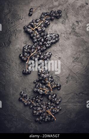 Mosti di uve fresche su sfondo scuro, laici piatta Foto Stock