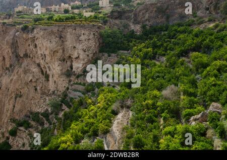 Tiwi, Oman. 28 maggio 2014. Le verdi montagne chiamate Jebel Akhdar della catena montuosa Hajar, Oman.spesso trascurato come una potenziale destinazione di viaggio e tuttavia la sua ricca storia e secoli di cultura antica che ha tanto da offrire. Oman è un paesaggio incredibilmente diversificato di alate tropicali con palme, deserti remoti e verdi montagne terrazzate, prosperosi Souk e una delle persone più accoglienti della regione del Golfo Arabico e deve meritare ulteriore attenzione. Credit: John Wreford/SOPA Images/ZUMA Wire/Alamy Live News Foto Stock