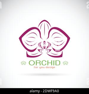 Vettore di un logo Orchid su sfondo bianco. Fiore. Illustrazione Vettoriale