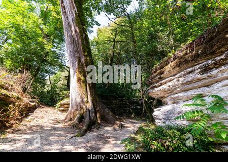 Gap o scinde nel terreno in una foresta misteriosa. Dintorni del sentiero escursionistico attraverso la foresta pluviale Foto Stock