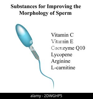 Sostanze per migliorare la morfologia degli spermatozoi, vitamine per la fertilizzazione. Illustrazione vettoriale su sfondo isolato Illustrazione Vettoriale