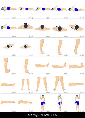 Illustrazione dalla colezione di 280 sport che si stigola ogni st ha circa 30 posture. Per gli istruttori di ginnastica e gli istruttori di personel quali i phys Illustrazione Vettoriale