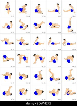 Illustrazione dalla colezione di 280 sport che si stigola ogni st ha circa 30 posture. Per gli istruttori di ginnastica e gli istruttori di personel quali i phys Illustrazione Vettoriale