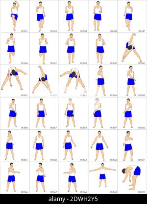 Illustrazione dalla colezione di 280 sport che si stigola ogni st ha circa 30 posture. Per gli istruttori di ginnastica e gli istruttori di personel quali i phys Illustrazione Vettoriale