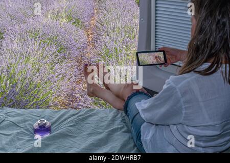 Nei campi di lavanda, in una carovana che fotografa i fiori Foto Stock