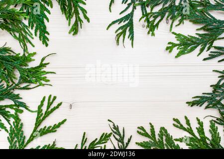 sfondo bianco di legno con un ramoscello verde di thuja intorno Foto Stock