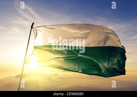 Bandiera dello stato austriaco della Stiria che svanirà sull'alba nebbia Foto Stock