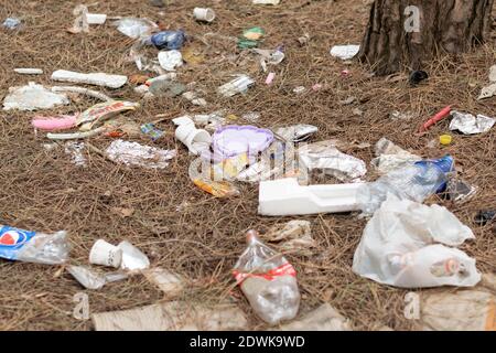 Spazzatura gettata via in natura, problemi ambientali. Concetto di disastro della natura Foto Stock